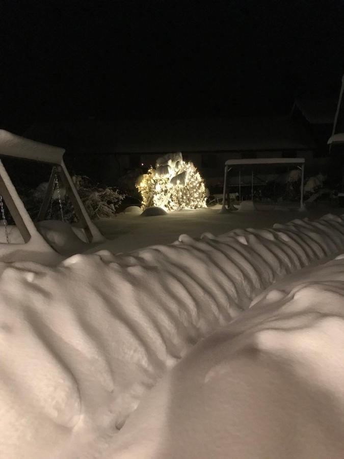 Zum Dammerbauer Straßlach-Dingharting Esterno foto